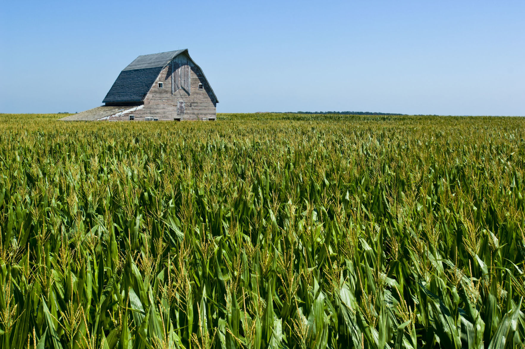 Corn barn